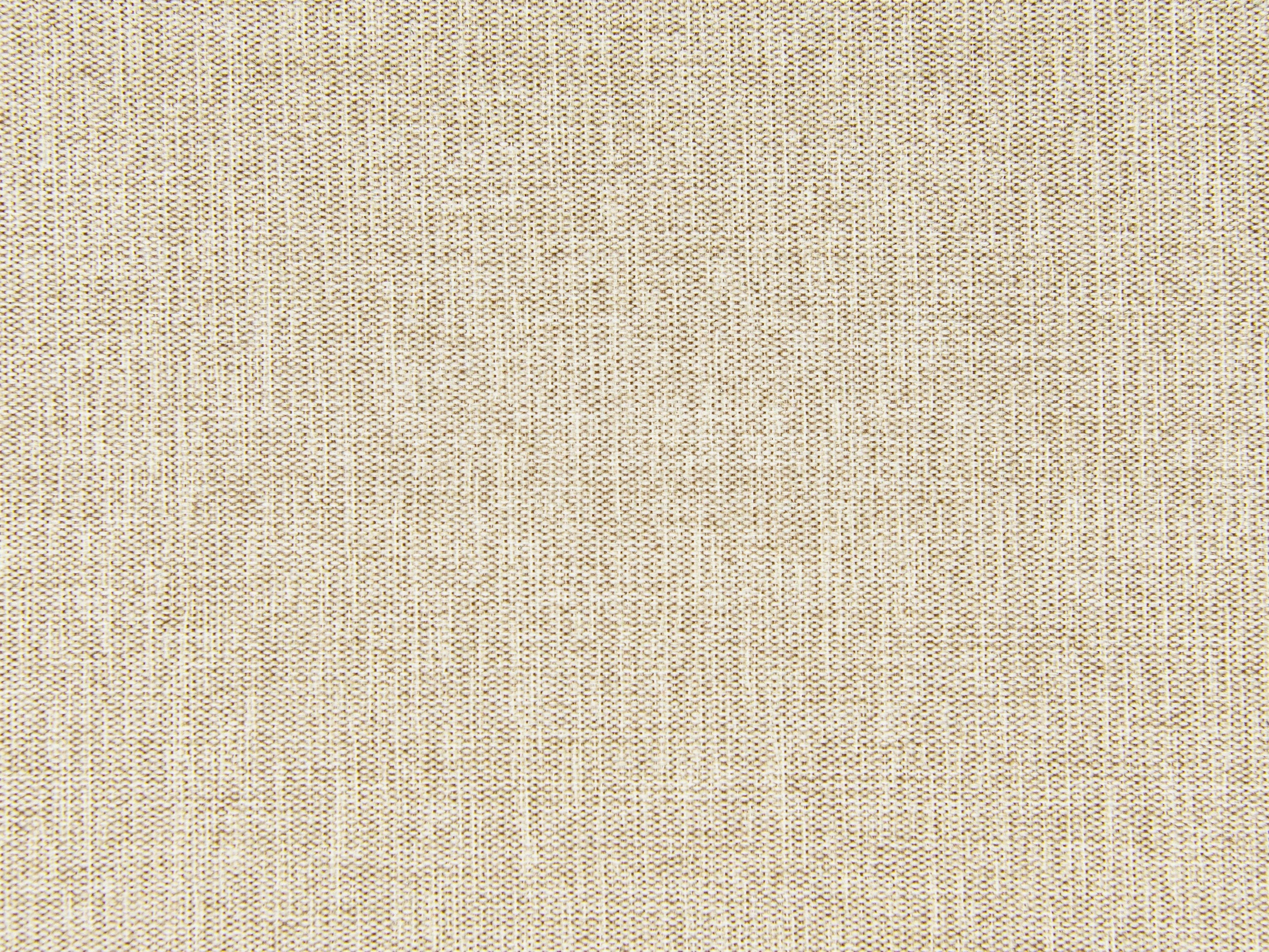 bolney barley close up