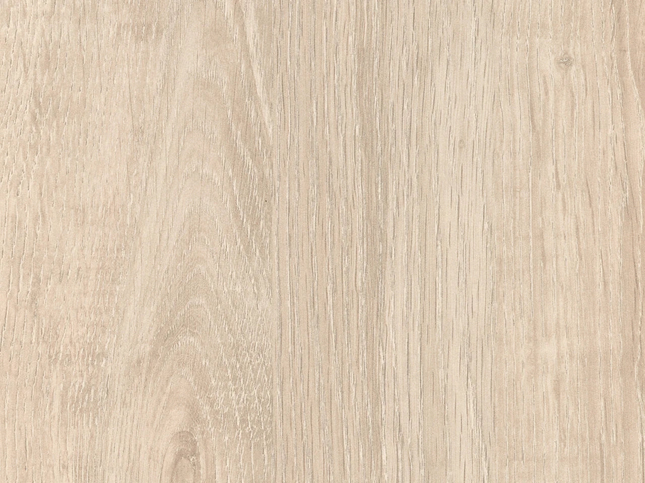 oak close up