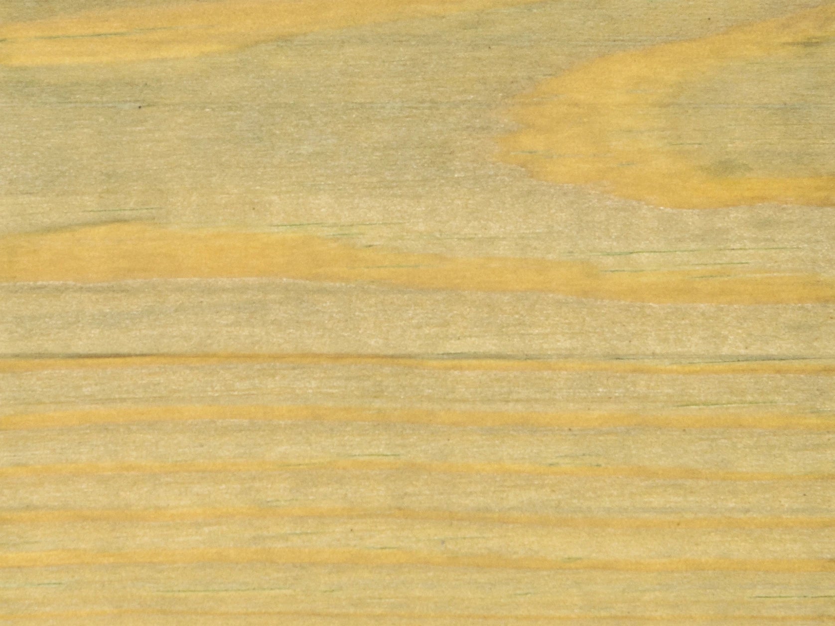 pine timber close up