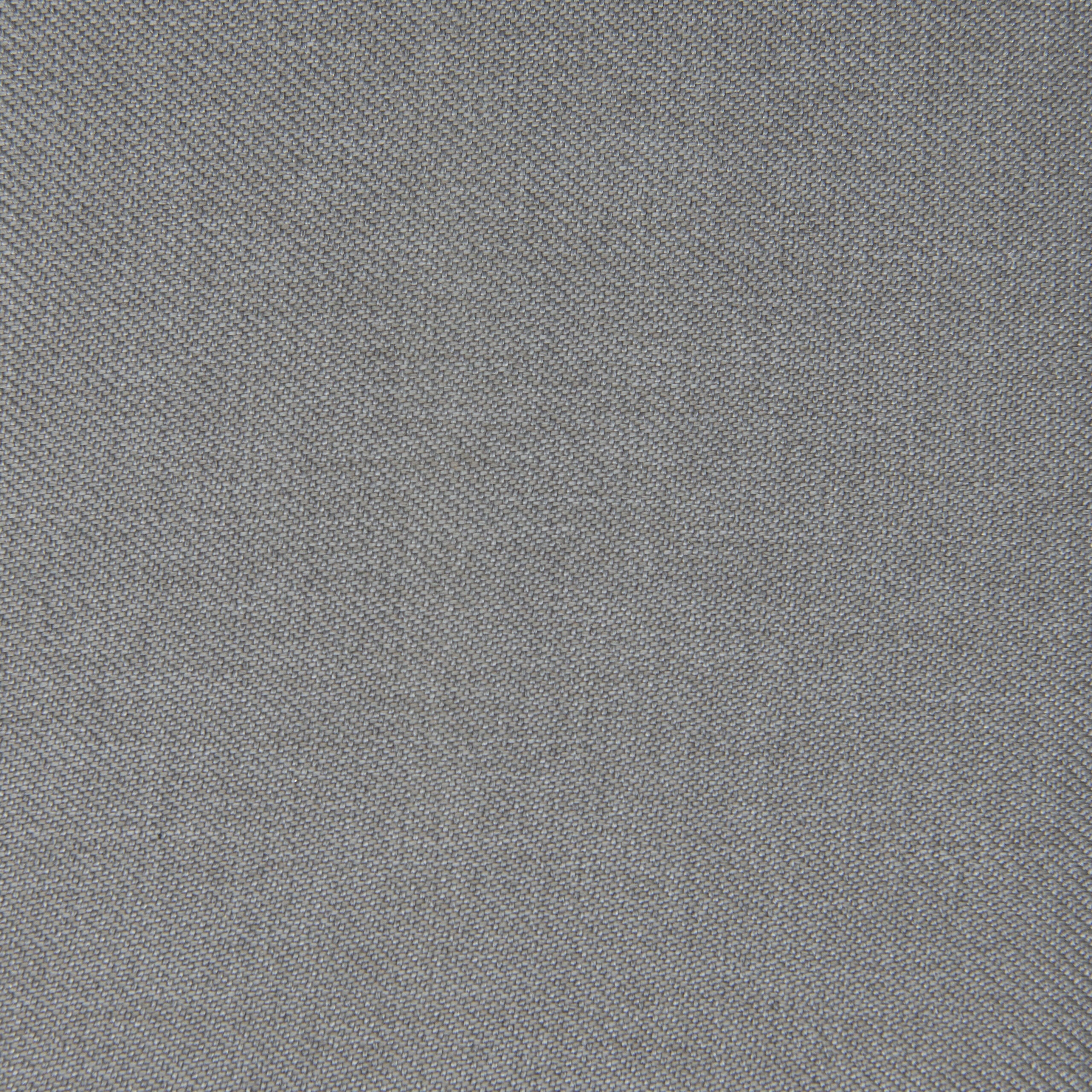 pintail grey close up