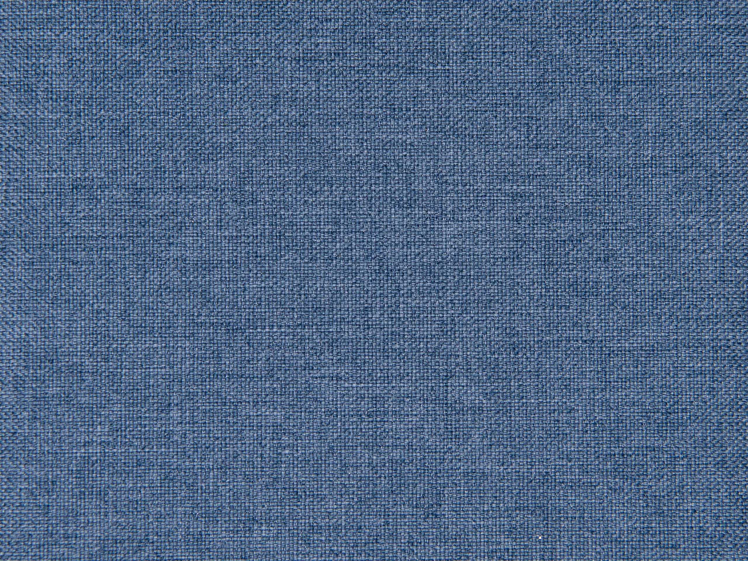 pintail orlando blue close up