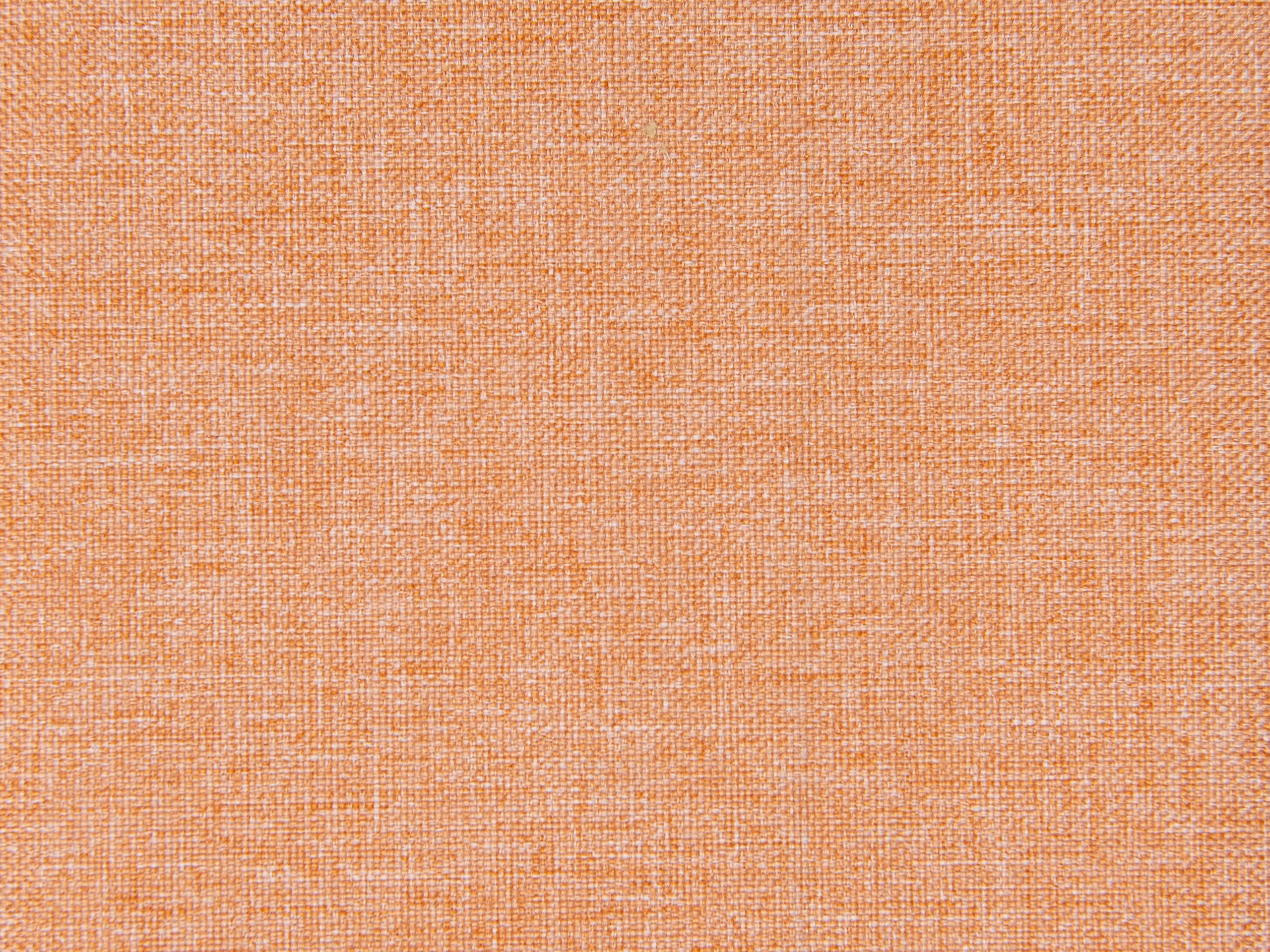 pintail orlando ochre