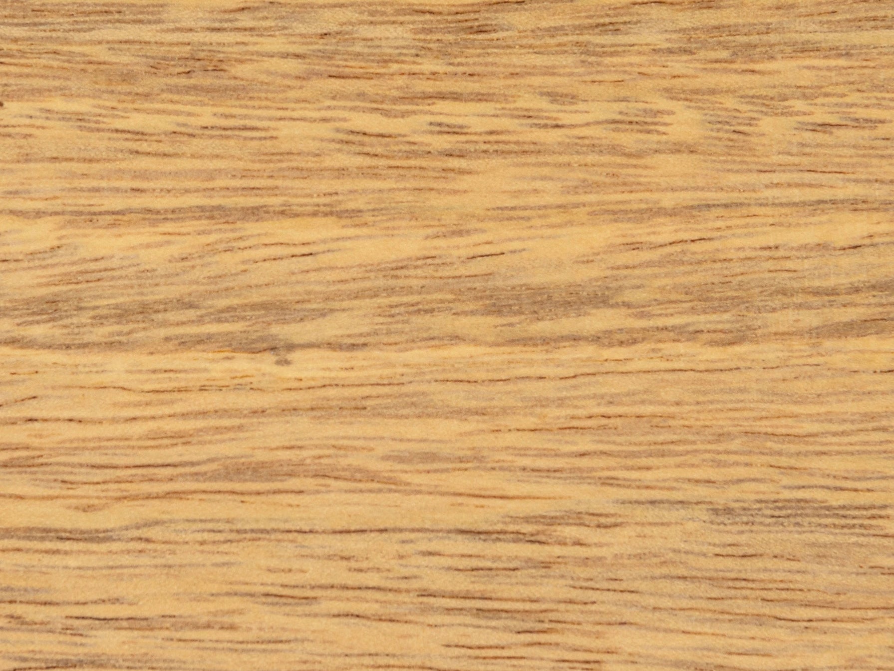 roble timber close up